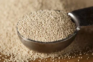 مخمر چیست؟